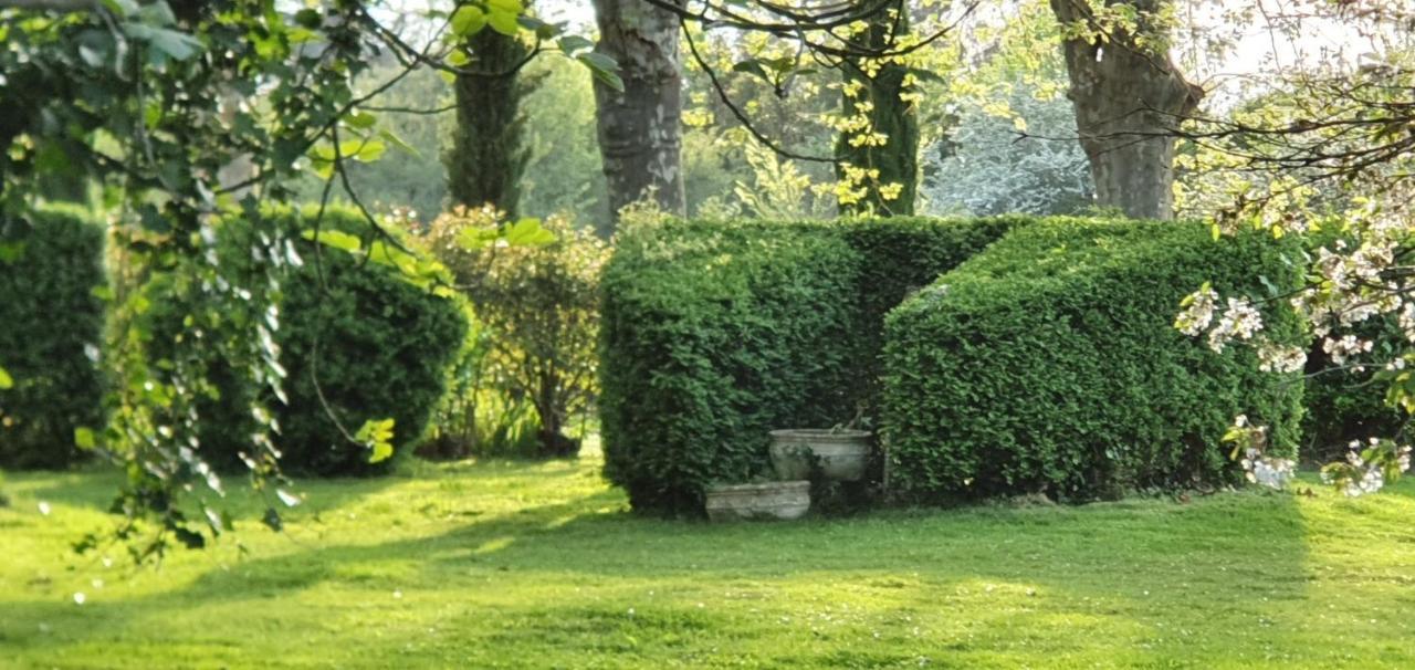 Le Domaine Des Marcoujans Saint-Elix-le-Chateau